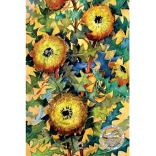 WATERMARK GREETING CARD BIRDS NEST BANKSIA